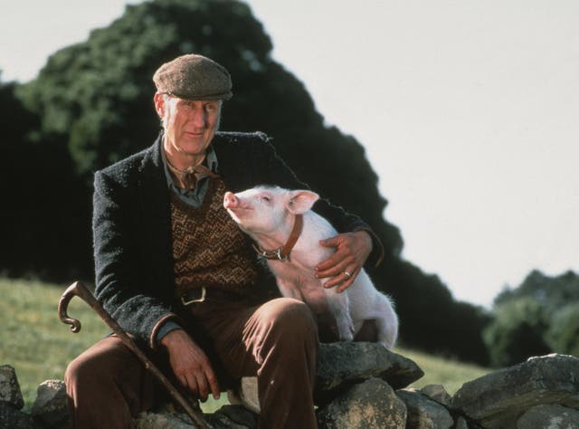<p>James Cromwell in 1995’s Babe</p>