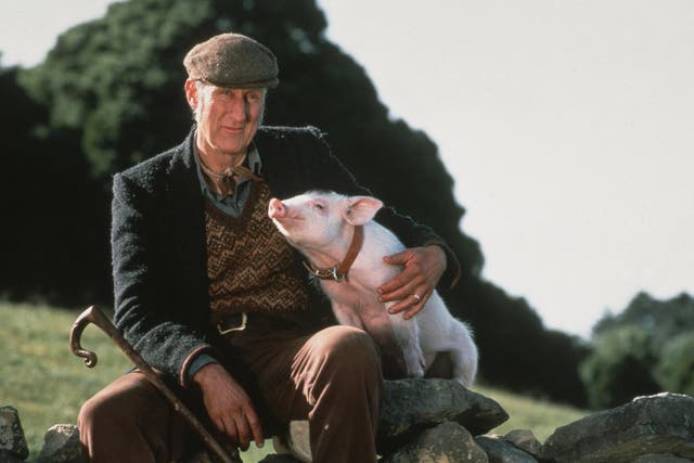 <p>James Cromwell in 1995’s Babe</p>