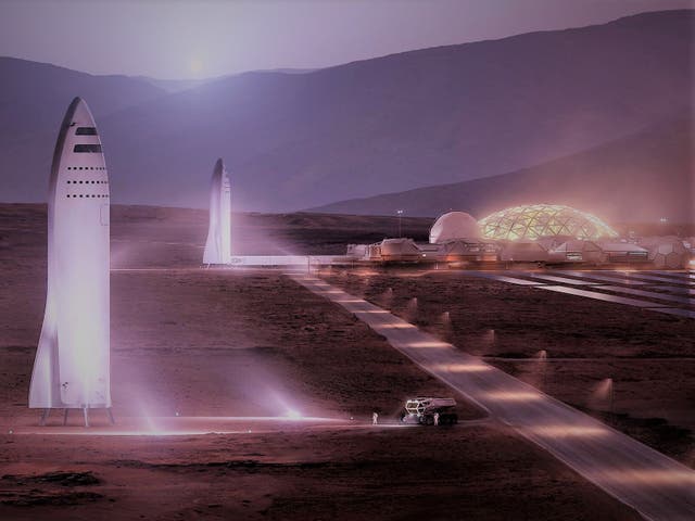 <p>SpaceX plans to build a fleet of 1,000 Mars-bound Starship rockets, each capable of carrying 100 people</p>
