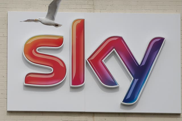 <p>Sky internet users have complained about issues getting online</p>