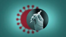 Will COVID-19 vaccines work on the new coronavirus variant?