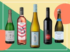 9 best non-alcoholic and low alcohol wines for Dry January