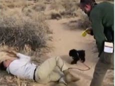 Native American man ‘tasered by park ranger’ after stepping off a trail in New Mexico