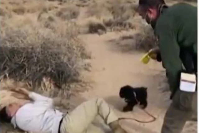 Darrell House, a Native American man, being tasered by a park ranger at Petroglyph National Monument in New Mexico after the ranger demanded he identify himself.