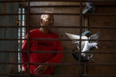 China clamps down in hidden hunt for coronavirus origins