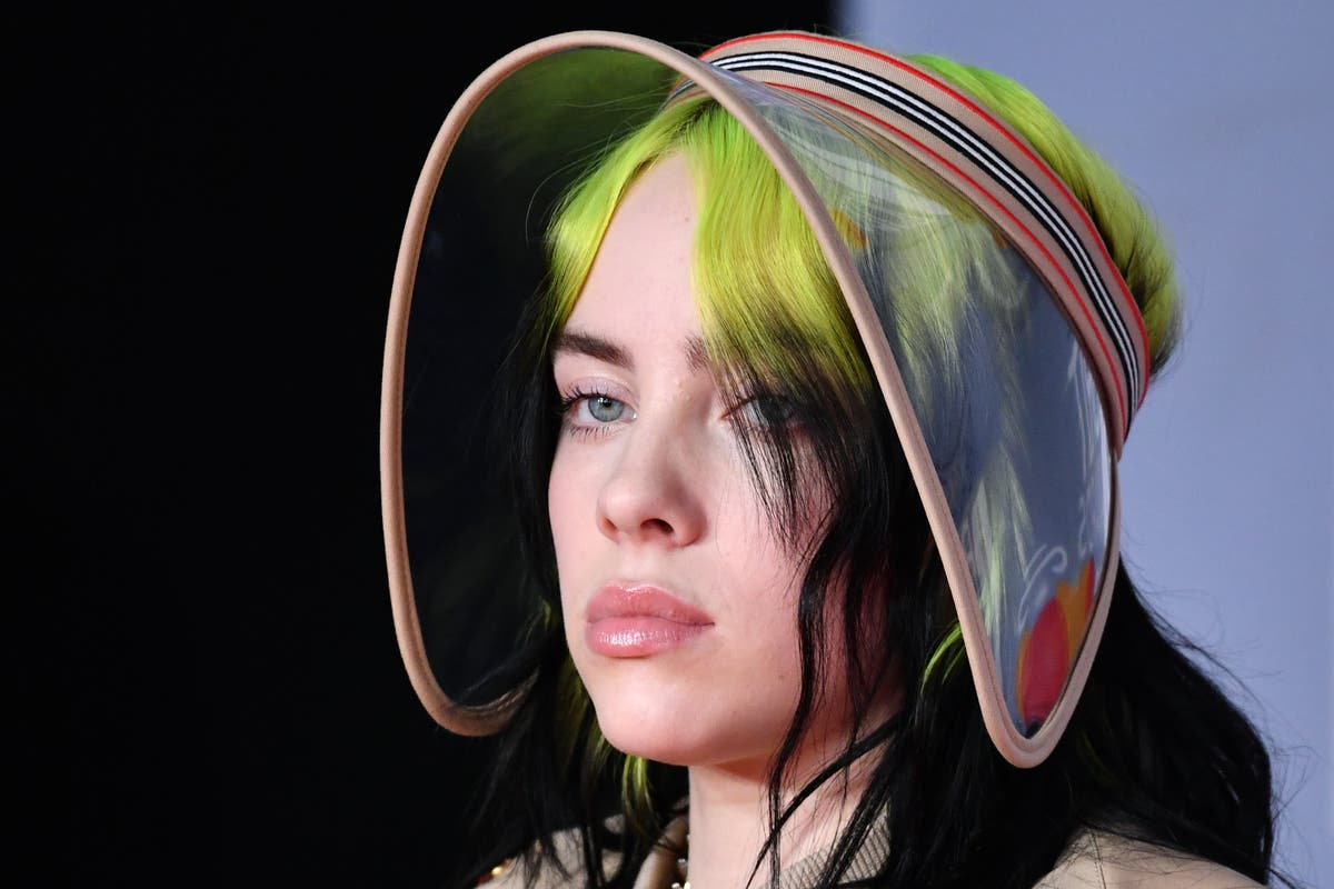 Billie Eilish reacts to losing 100k Instagram followers over breast  drawings | The Independent