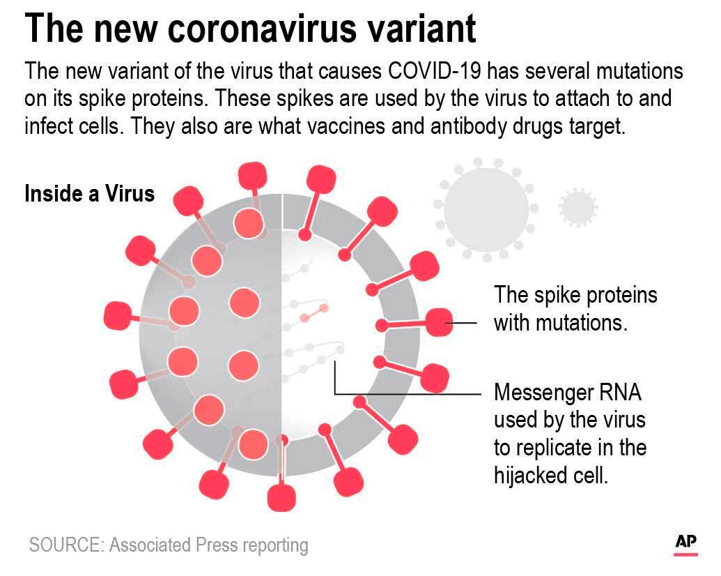 Virus Outbreak-New Variants