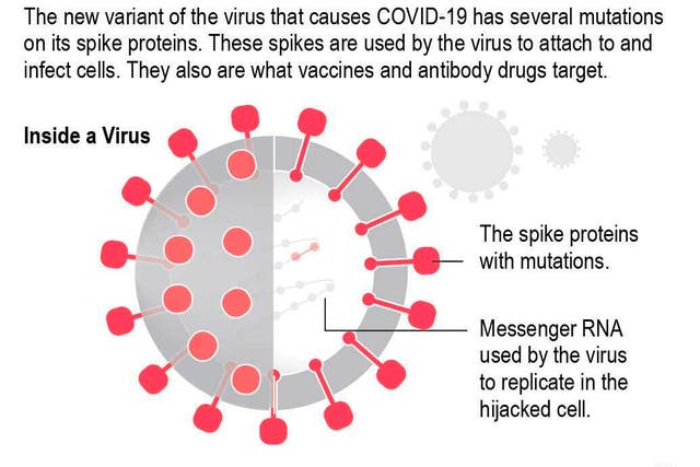 Virus Outbreak-New Variants