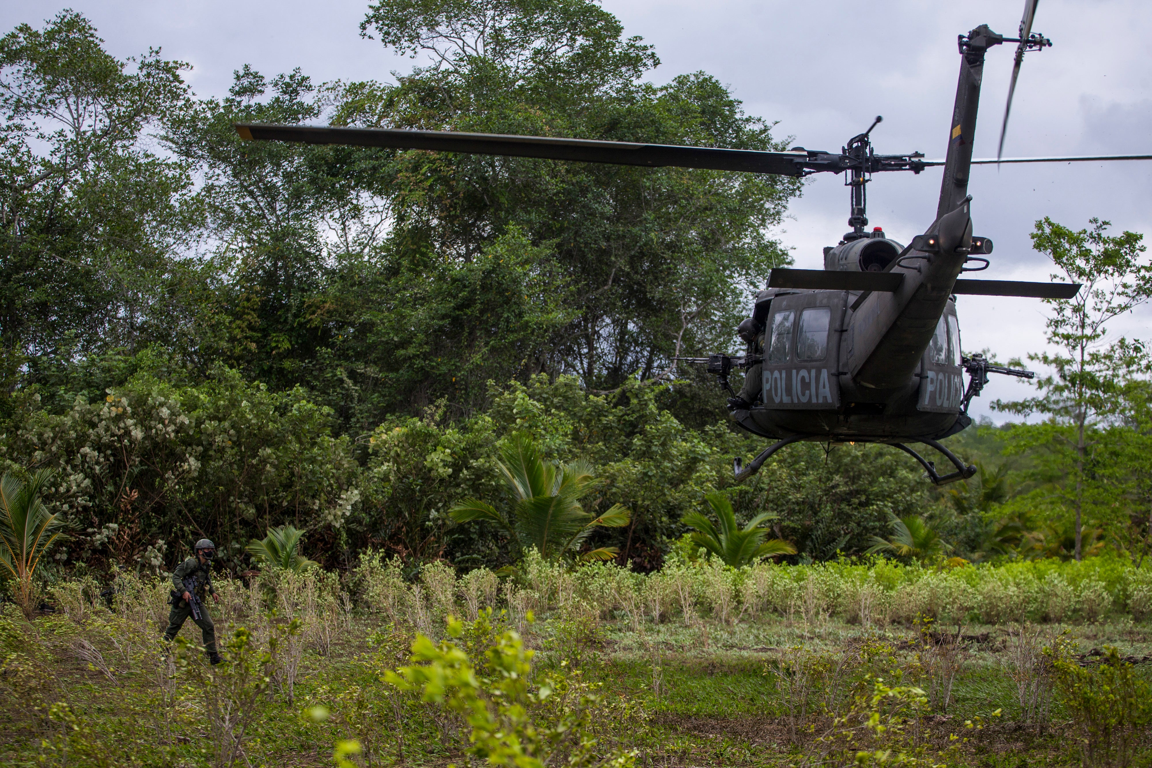 COLOMBIA-CULTIVOS COCA