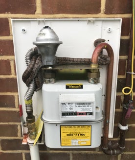 A snake wrapped itself around the pipes on a gas meter box in Gosport
