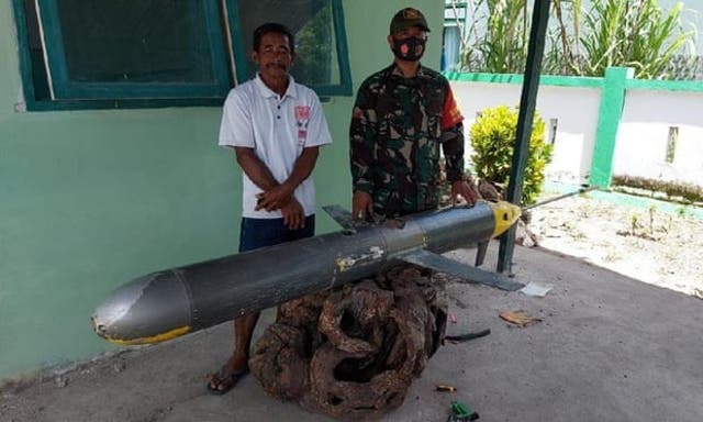 <p>Suspected Chinese Sea Wing found in Indonesia&nbsp;</p>