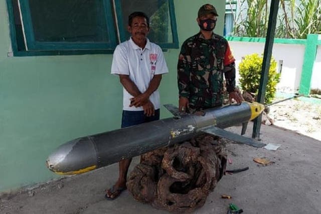 <p>Suspected Chinese Sea Wing found in Indonesia&nbsp;</p>