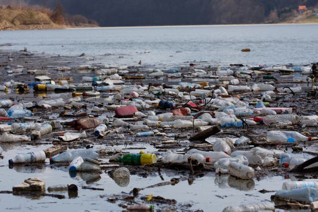 <p>‘The further plastic goes from where it comes from, the harder it is to clear up’</p>