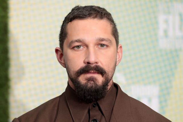 <p>Shia LaBeouf is being sued by former partner FKA twigs over claims of abuse</p>
