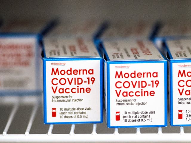 <p>Moderna covid vaccines</p>