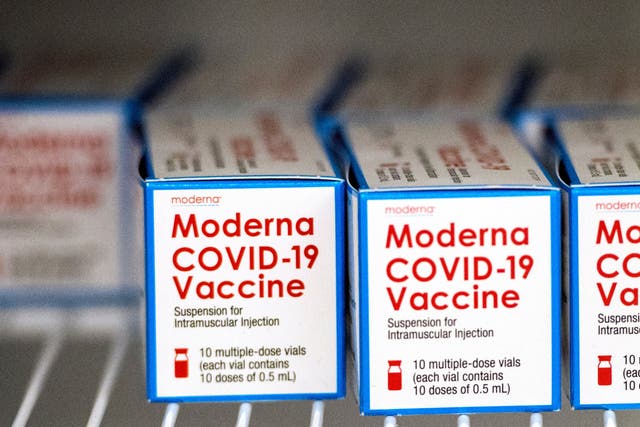 <p>Moderna covid vaccines</p>