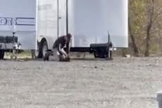 K-9 removed from police officer after video shows him punching dog