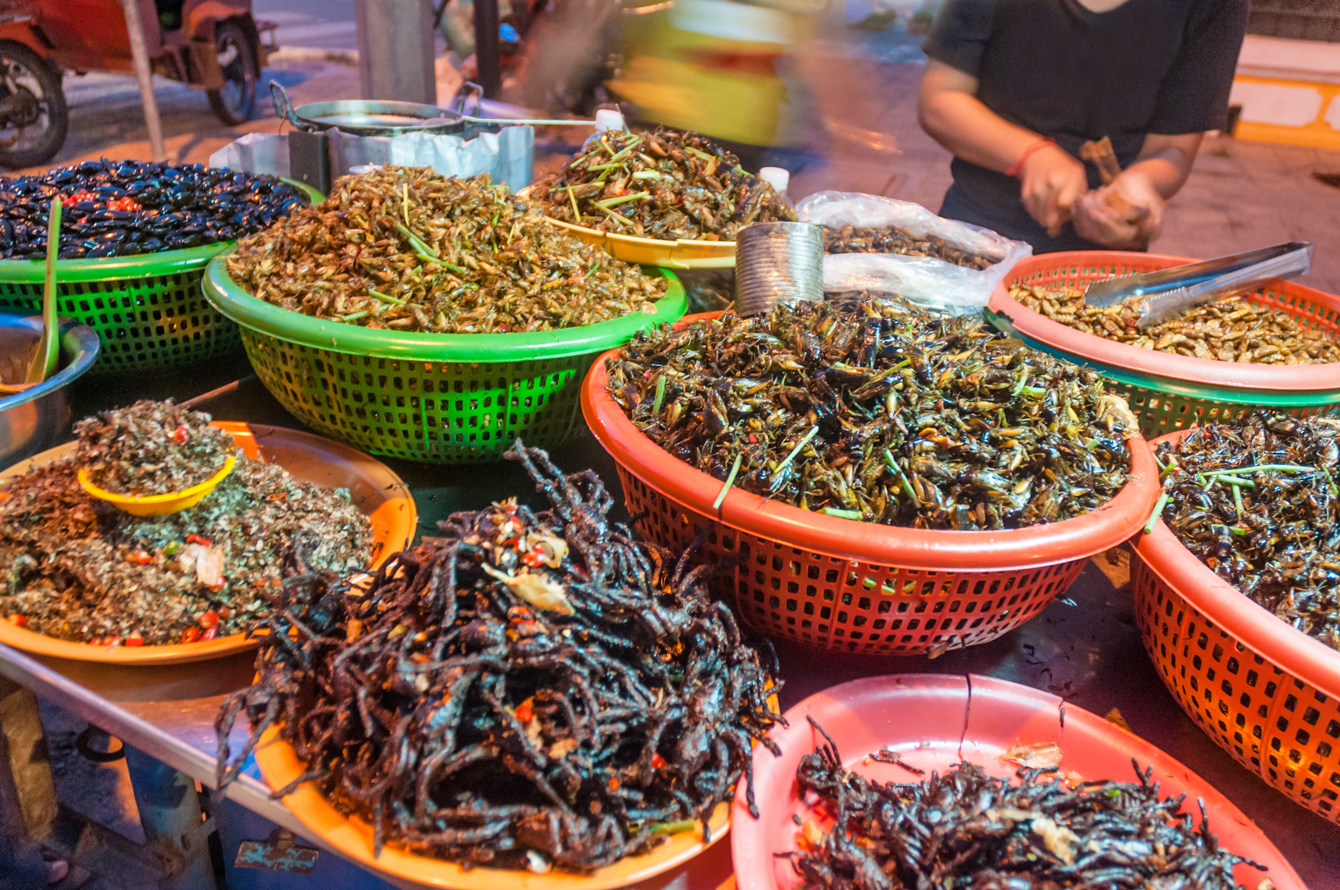 Bugbear: edible insects for sale in Phnom Penh, Cambodia