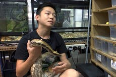 No snake soup for Hong Kong's young snake catcher