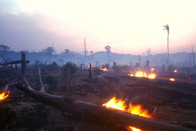 A burning wasteland in what used to be part of the Amazon rainforest
