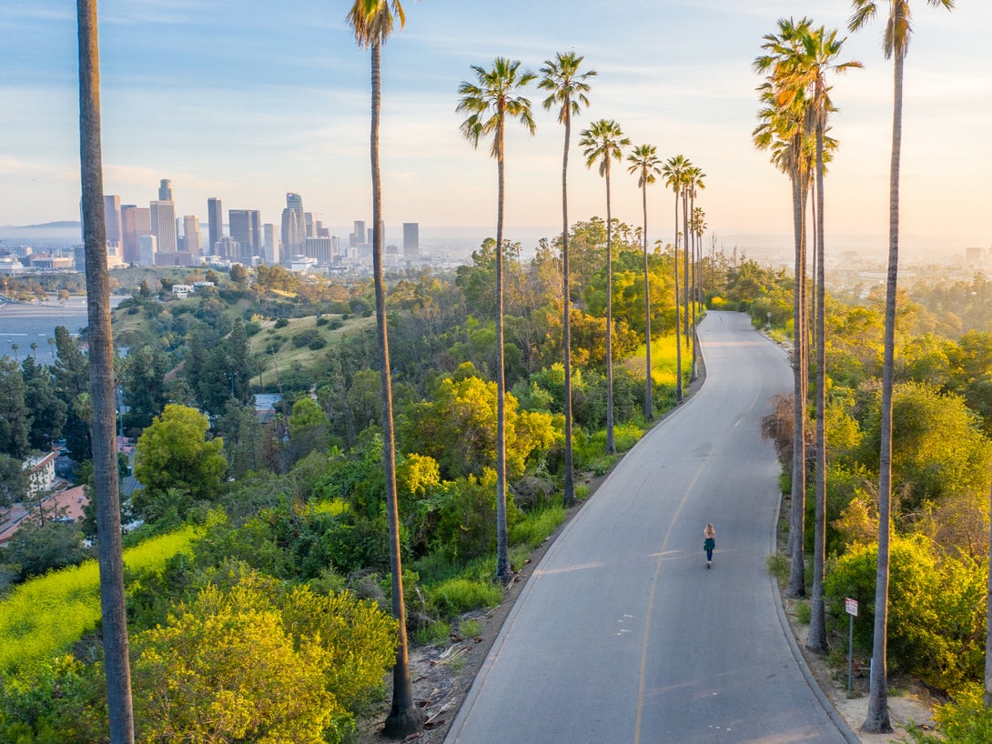 Fancy springtime in LA?