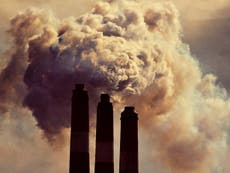 Climate crisis: What is carbon capture and how does it work?