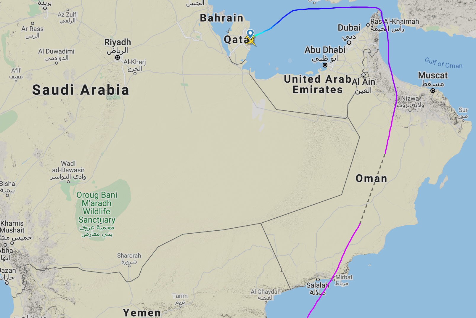 Long detour: Qatar Airways flight path from Johannesburg