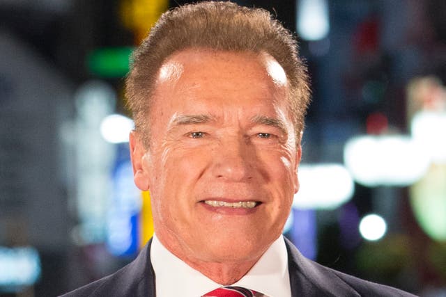 <p>Arnold Schwarzenegger calls Trump ‘un-American’ for ‘stupid, crazy and evil’ bid to overturn election result</p>