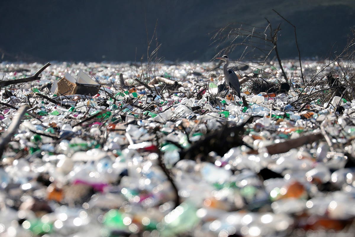 Islands of floating waste clog rivers in Balkans