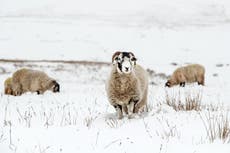 UK weather: Biting cold with patches of wintry showers