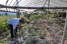 Climate-smart farming for Nepal villages eases migration pressure