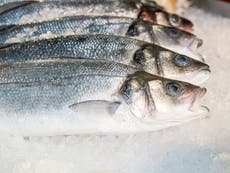 Scottish fish prices ‘collapsing’ by up to 80% due to Brexit red tape