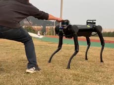 Robot dog gains ability to fend off human attackers