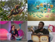 The 10 best educational shows on Netflix if you are home schooling