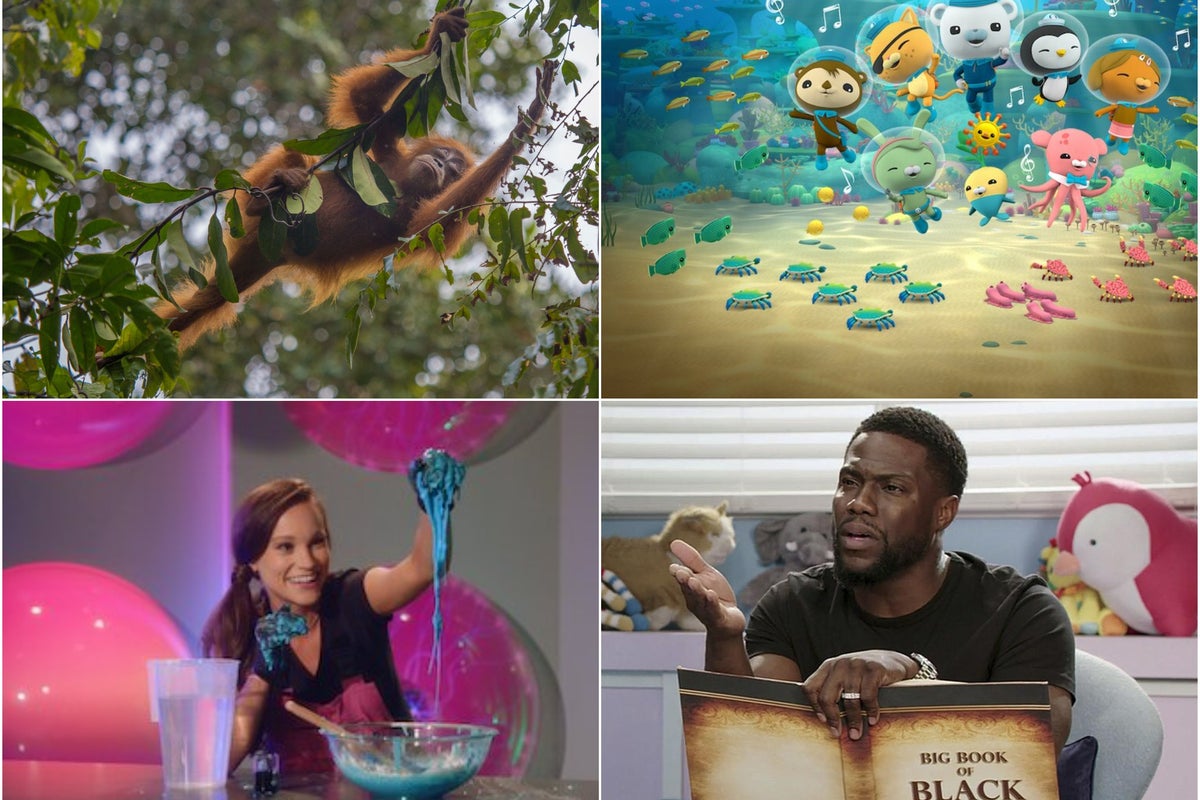 The 10 best educational shows on Netflix | The Independent
