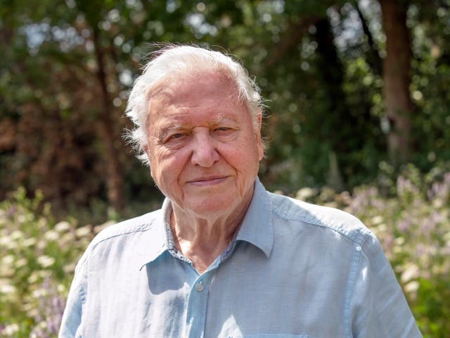 David Attenborough