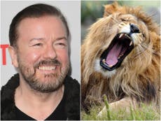 London Zoo responds to Ricky Gervais’s offer to be eaten by lions