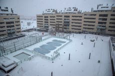 Blizzard covers Spain in white, brings Madrid to standstill