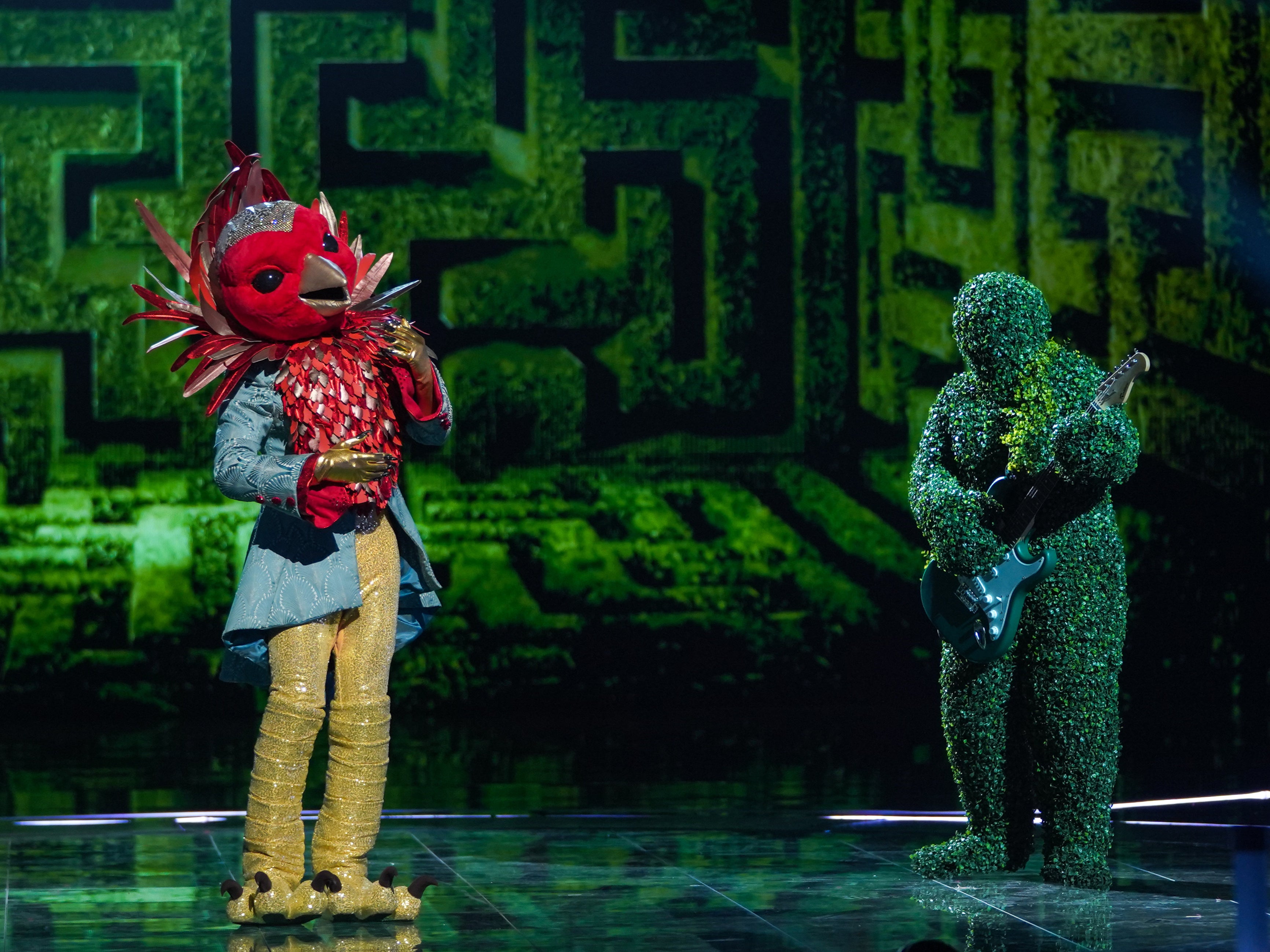 Robin performs on The Masked Singer