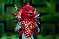 Who is Robin on The Masked Singer?