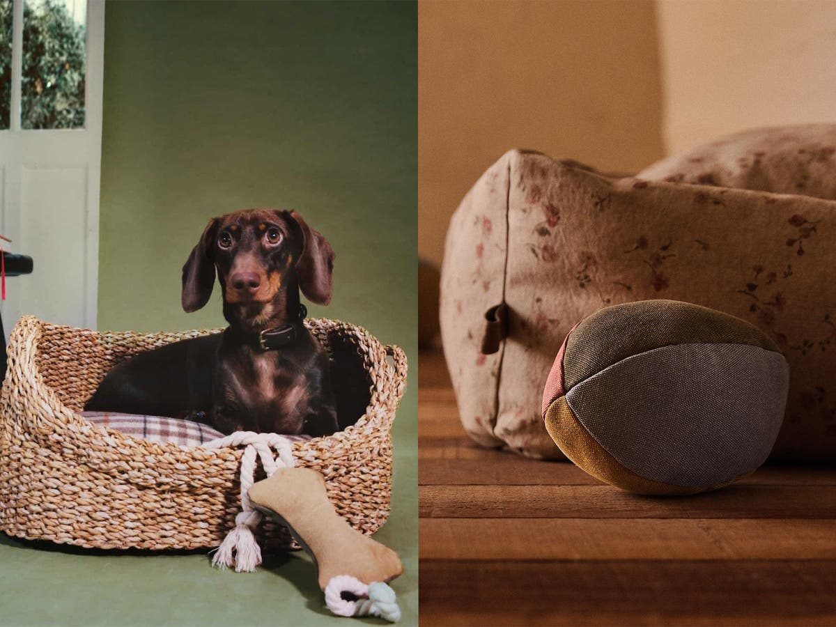 Zara Home launches pet collection: Here's everything we want to buy | The  Independent