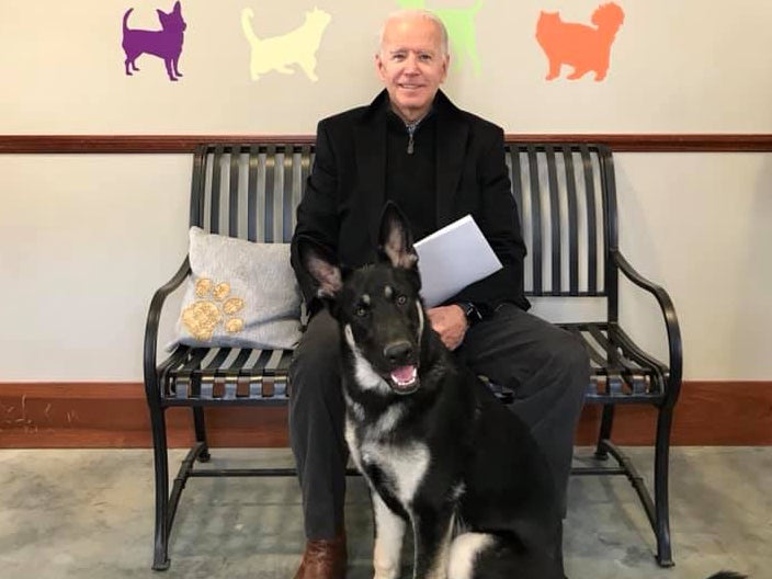 Animal shelter to host ‘indoguration’ for Major Biden ahead of White House move