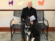 First dog Major Biden to be honoured with ‘indoguration’ ceremony before moving to White House