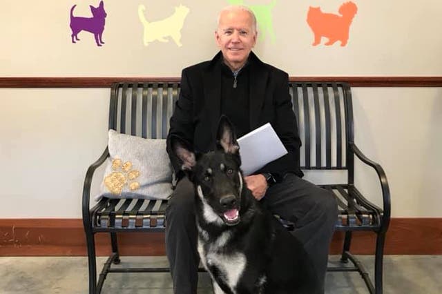 Animal shelter to host ‘indoguration’ for Major Biden ahead of White House move 