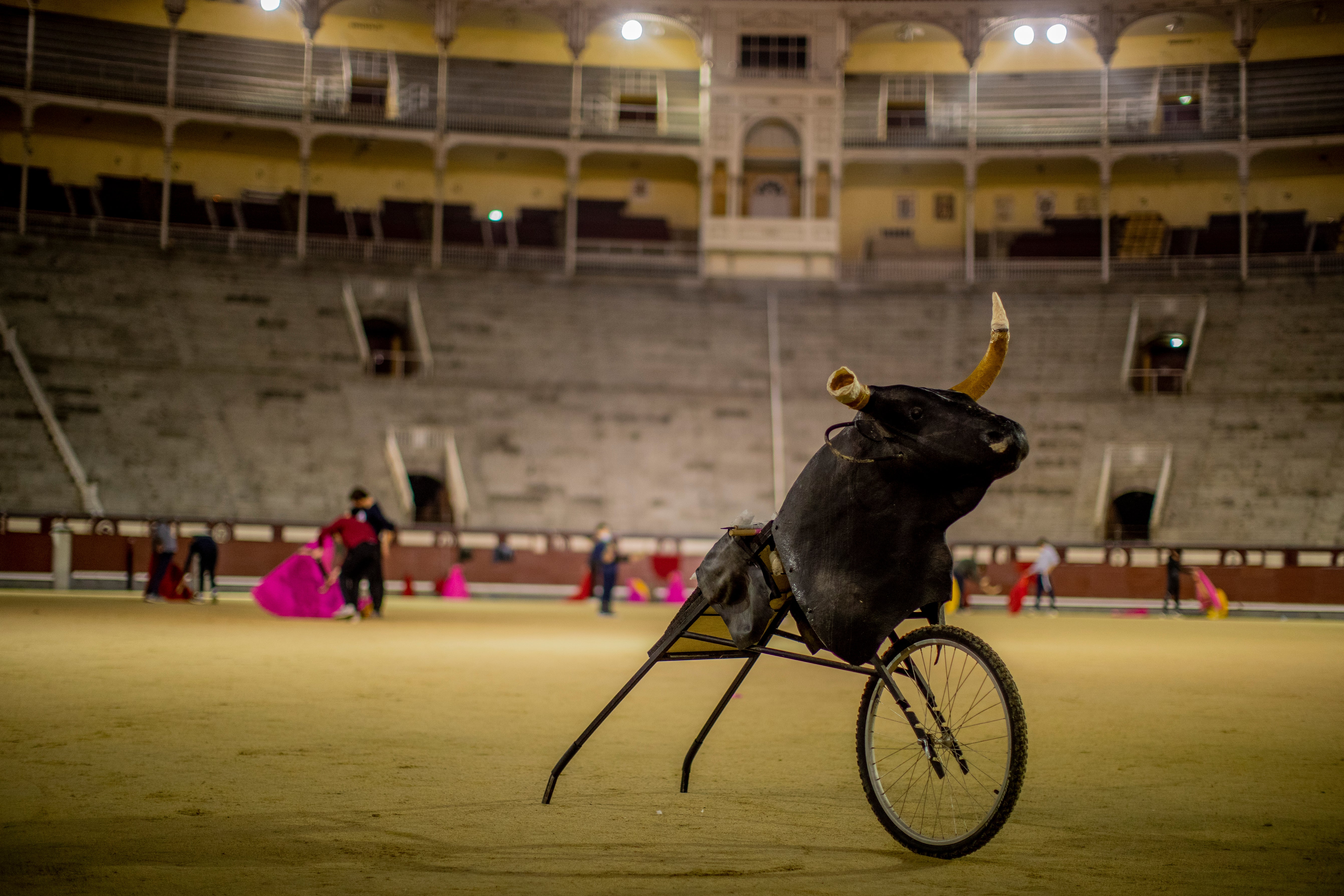 Virus Outbreak Spain Bullfighting School Photo Gallery