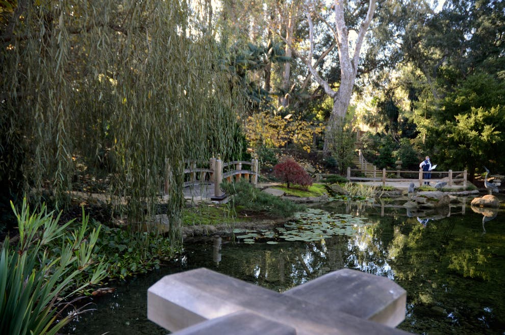 Japanese essay format image