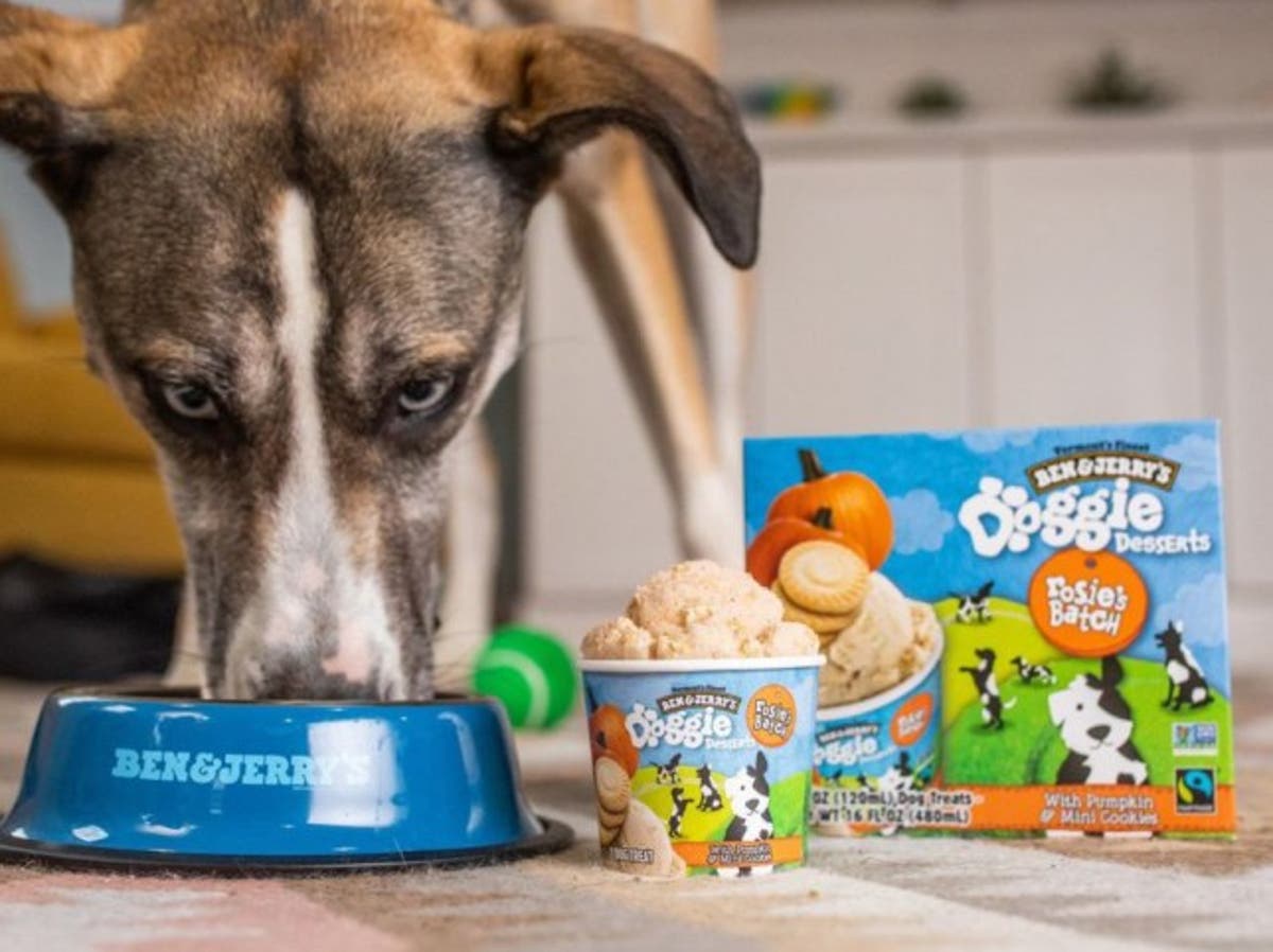 Ben & Jerry’s launches ice cream for dogs | The Independent