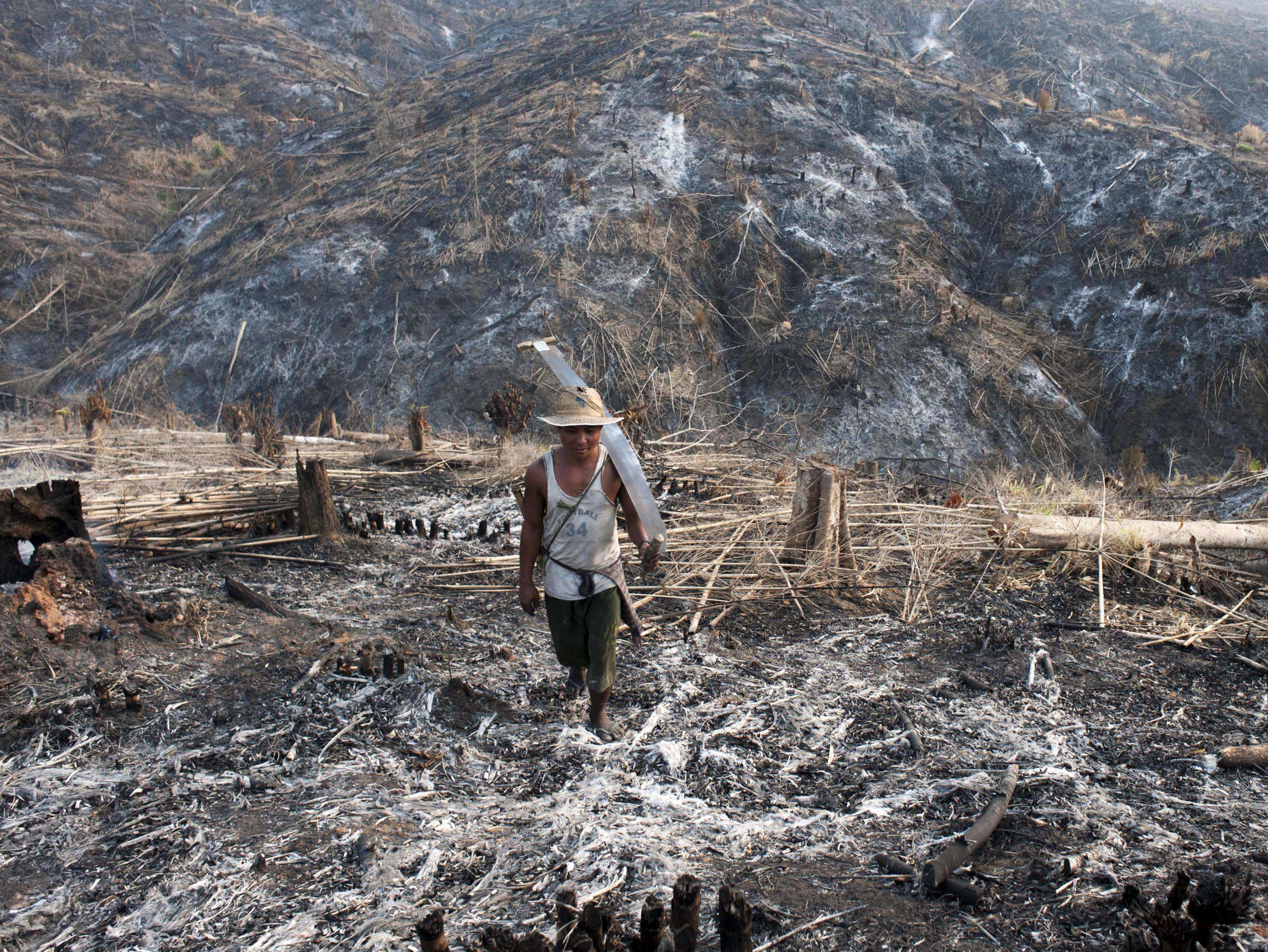 A worker carrying a saw where teak trees once grew in the Bago Region of Myanmar after the land was scorched ahead of replanting