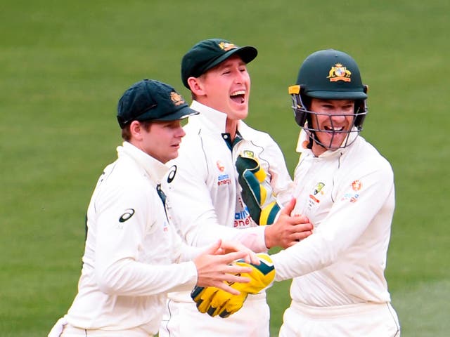 <p>Smith (L) and Paine (R) celebrate against India</p>