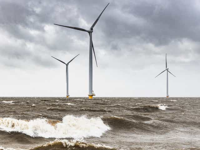 <p>Wild claims about wind turbines and the cold snap in Texas have been making their rounds on right-wing social media</p>